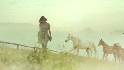 一生尽爱爱尽终离,一生尽爱的悲欢离合