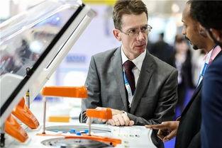 业内人士,资深人士深度解析行业发展趋势