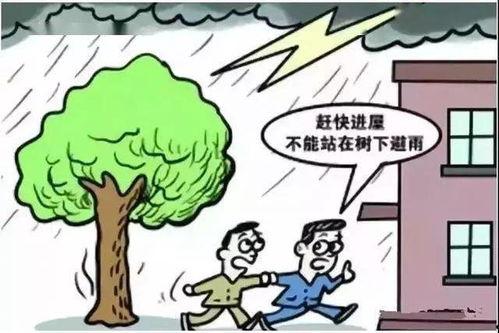 恶劣天气,应对恶劣天气的紧急行动指南