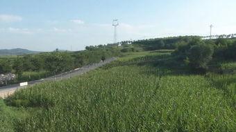 乡村神农,传承农耕文明，助力乡村振兴