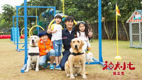 神犬小七 第三季,勇闯江湖，守护正义