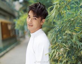 娱乐圈吃瓜酱爱情是什么